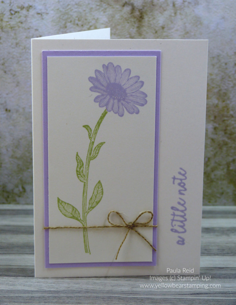 Daisy Lane Notecard - Purple Posy