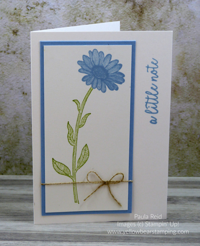 Daisy Lane Notecard - Seaside Spray