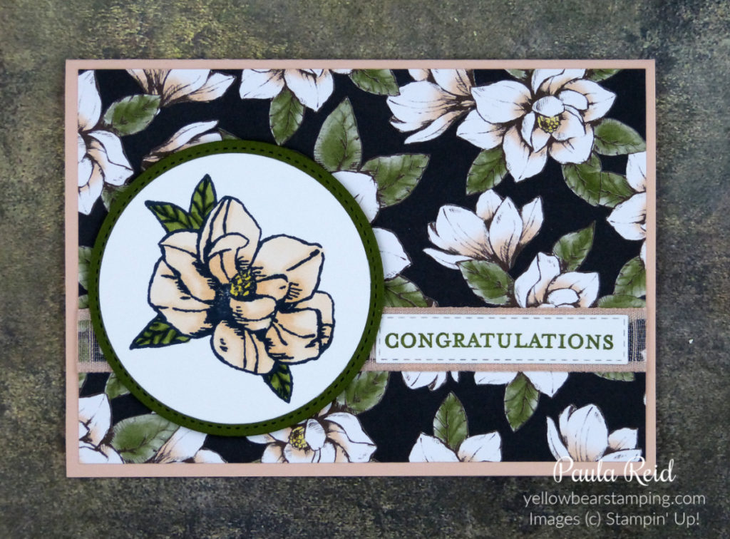 Magnolia Blooms - Congratulations