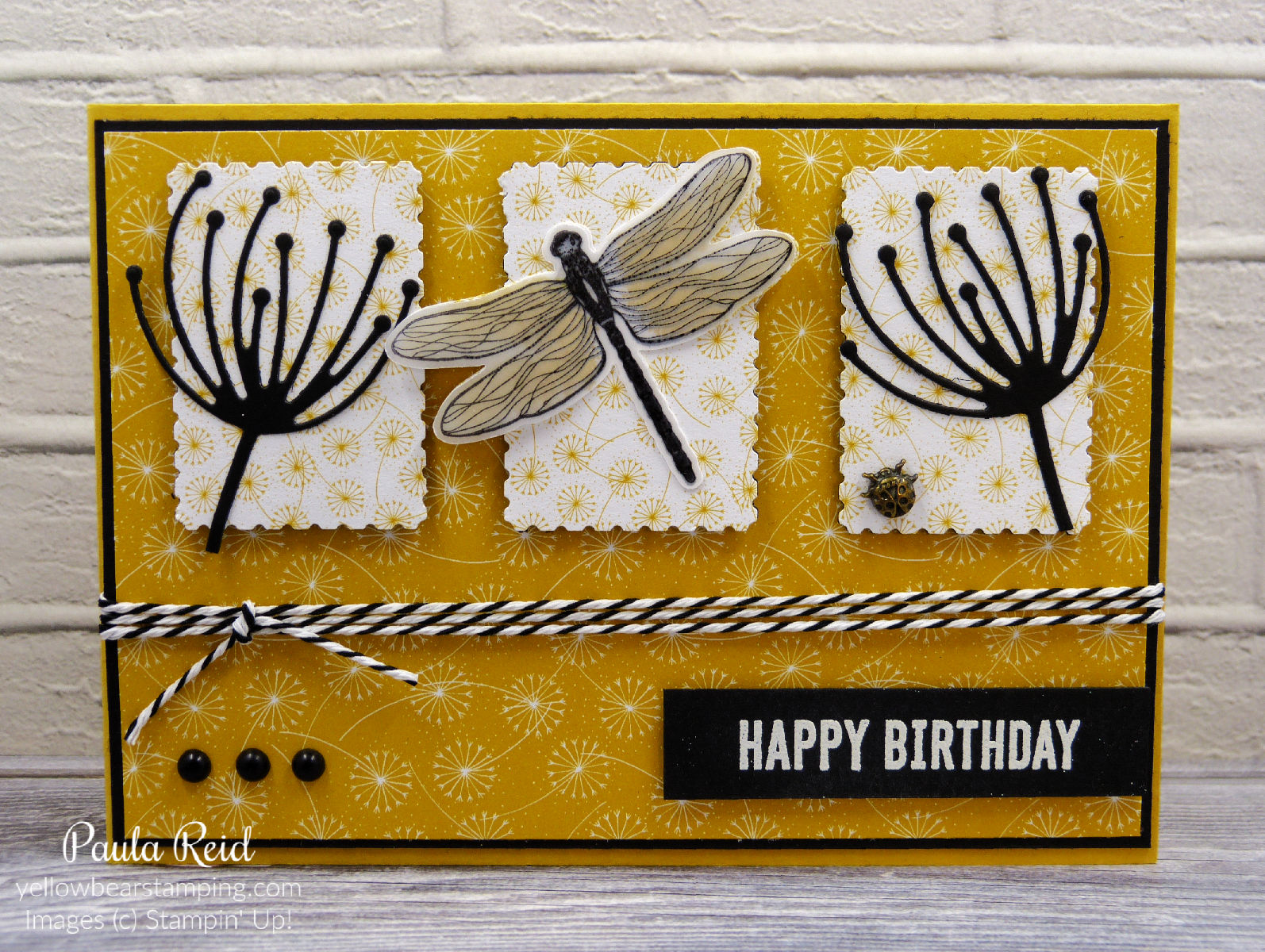 Dragonfly Garden Stamp Camp Front Yellow Bear Stamping