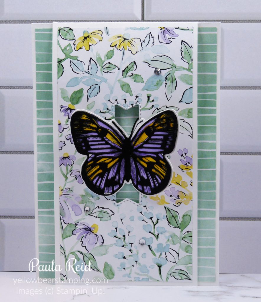Butterfly Brilliance - Closure Card