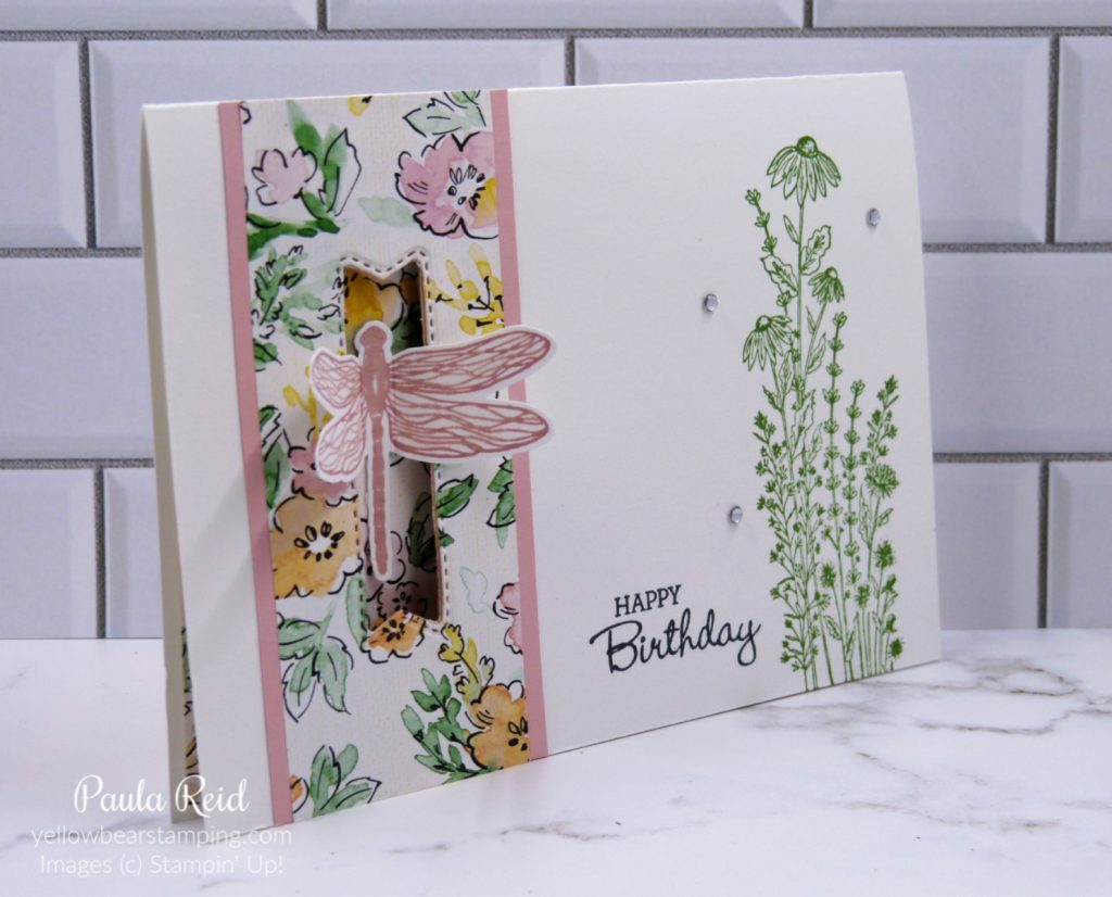 Dragonfly Garden - Closure Card