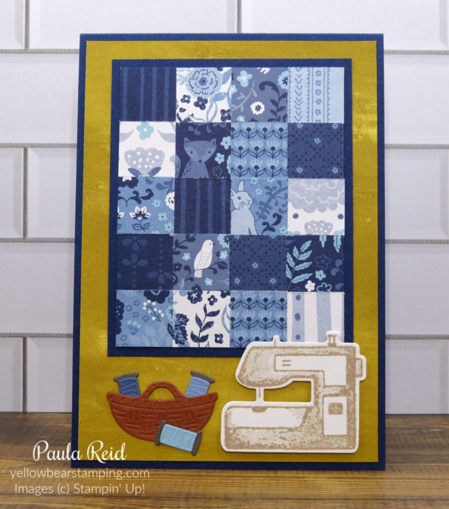 Paula Reid - Machine Quilter: March 2016